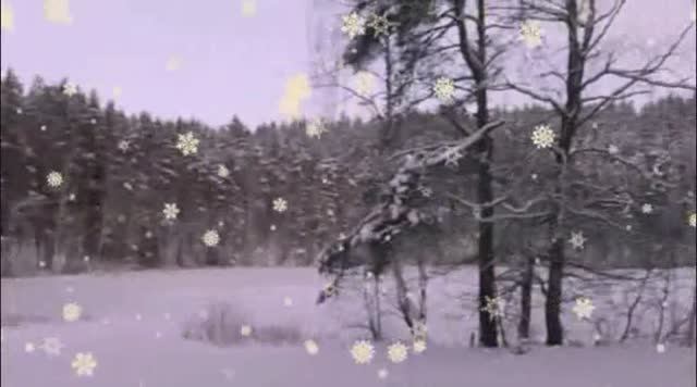 Россия Ленинградская область Выборгский район Бобочино п. Поляны Голубые озера лета 2021-2026