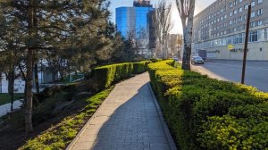 УТРЕННЯЯ ПОЧТА! СИМ КАРТЫ КАЗАХСТАНА?! ВАСЕВСКИЕ ОСКОРБЛЯЮТ ВСЕХ РОССИЯН!