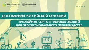 Достижения российской селекции: урожайные сорта и гибриды овощей для профессионального овощеводства