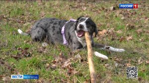 Итоговый выпуск «Вести. Белгород» от 05.04.2026