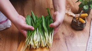 Новый САЛАТ из черемши❗🔥 ВКУСНО, ПРОСТО и БЫСТРО❗🔥 Хочется съесть весь, это просто бомба❗🔥