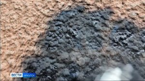 Больше 100 обращений направили жители Иркутской области в антинаркотический чат-бот