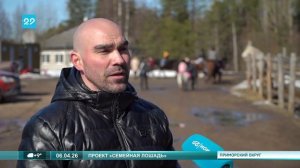 06.04.2026 Семейная лошадь