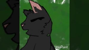 на мап Белой ночи