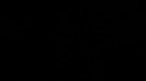 ЧАСТЬ ПЕРВАЯ Экзамен и срыв!!!