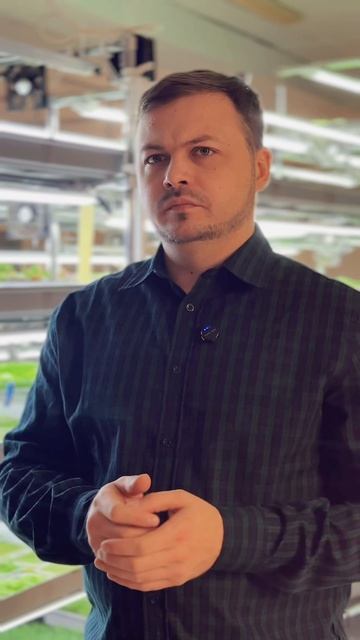 Расчет посадки в бизнесе на микрозелени  Илья рассказывает как устроено на нашей ферме!