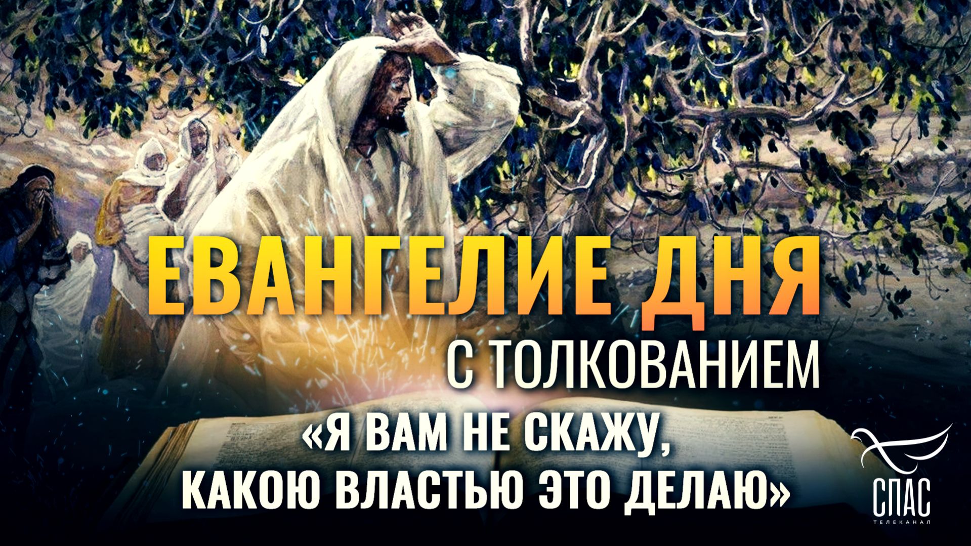 «Я вам не скажу, какою властью это делаю» / Евангелие дня