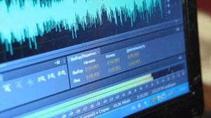 "просто" автор и исполнитель Олег Сапегин