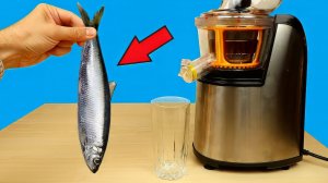 Бедная соковыжималка! Что если сделать сок из селедки, шпрот и крабовых палочек  alex boyko