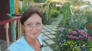 Видео привет с 6 соток 17 августа 2021 года