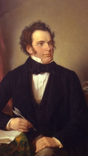 Франц Шуберт Смерть и Девушка. Franz Schubert Death and the Maiden