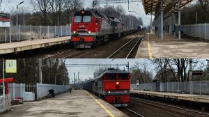 2ТЭ25Км - 0339 и 2ТЭ116 - 649 с грузовым поездом на перегоне Ораниембаум 1 - Новый Петергоф.