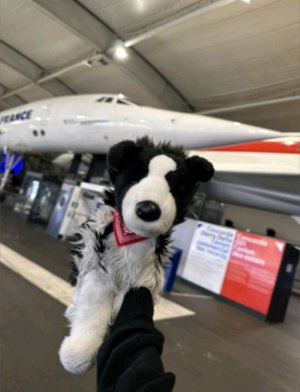 трансляция🤗