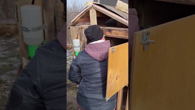 Мой проект 1