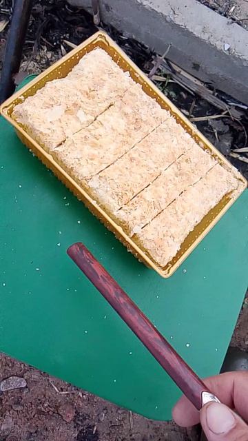 ПРИЕХАЛ С КУМОМ ПОЛОВИТЬ КАРПА ,А ПОЙМАЛИ ЧЕРЕПАХУ )