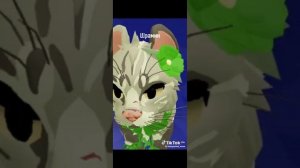 коты воители в роблокс из тт - 🩷💖💗