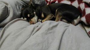 рома 😅😂😁😆🙂🤣😃😄