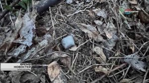 Волгоградка заработала уголовное дело на фиктивной прописке узбекистанцев