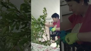 Мои ВЗРОСЛЫЕ ИГРУШКИ 💥