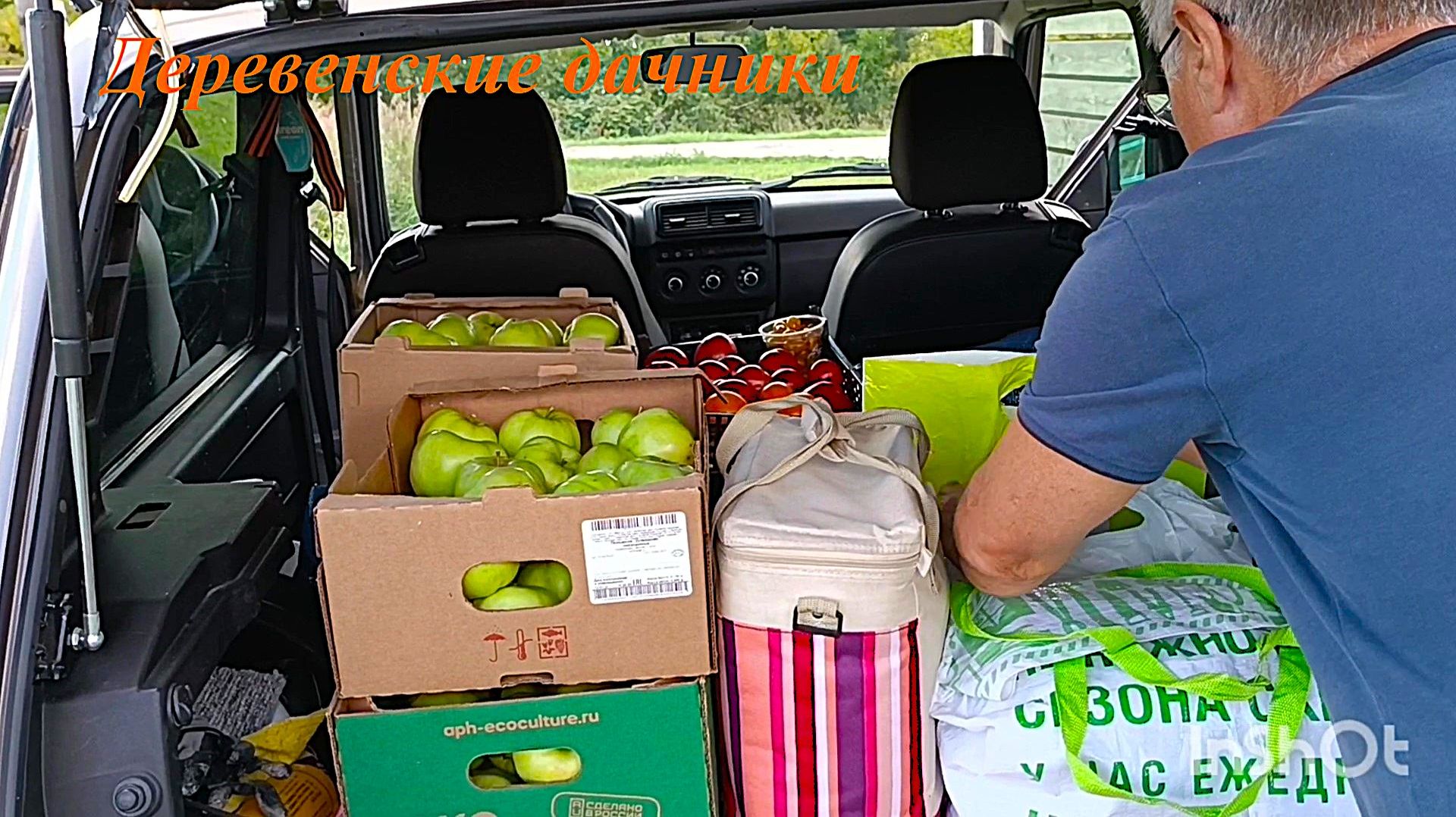 Завершаем огородные дела. Первый урожай яблок! Планы на будущий сезон. Деревенские дачники.