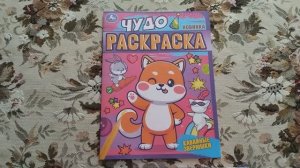 КОЛЛЕКЦИЯ ДЕТСКИХ РАСКРАСОК 51