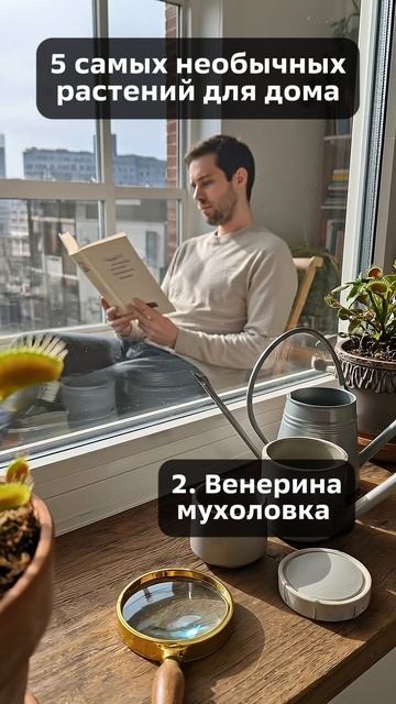 🌿 Необычные комнатные растения: экзотика в вашем доме