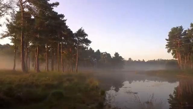 СТРИМ • Расслабляющие звуки природы 🌿 Вода, птицы и спокойствие для сна и отдыха