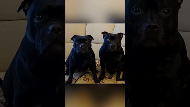 5 апреля 2026 г.