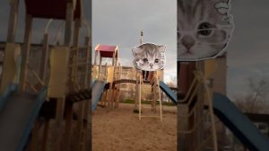 гоняем чаи с подругой 🥰