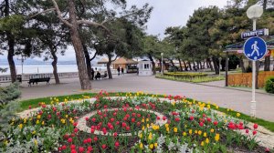 Геленджик 5 апреля 2026 г.  Революционная улица. mp4