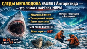 СЛЕДЫ МЕГАЛОДОНА НАШЛИ В Антарктида — ЭТО ЛОМАЕТ КАРТИНУ МИРА