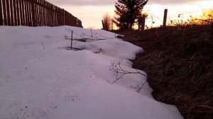 Мокрушина Диана. Единственные дни.