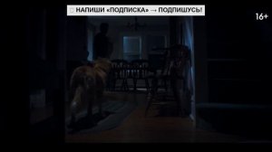 Глазами пса — Русский трейлер (Дубляж, 2025)