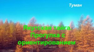 Якутская тайга. Прогулка с ориентированием