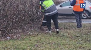 Видео от Первый городской