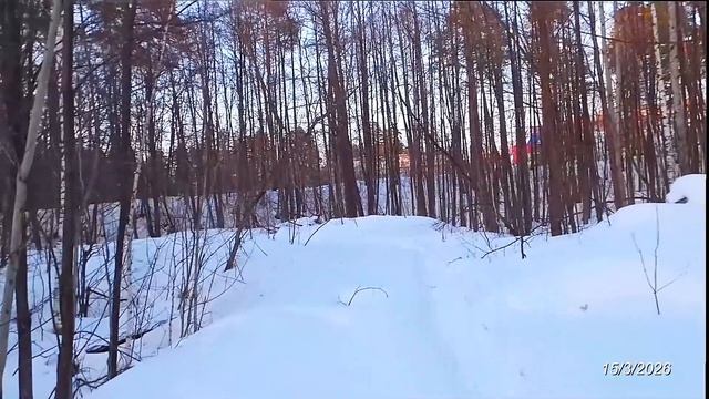 Романс А. Мерзлякова Звёзды на небе. Поёт Алексей Покровский