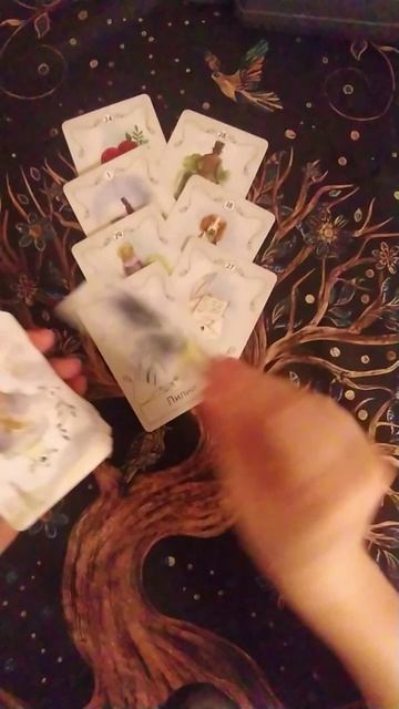 Подарок Судьбы для вас