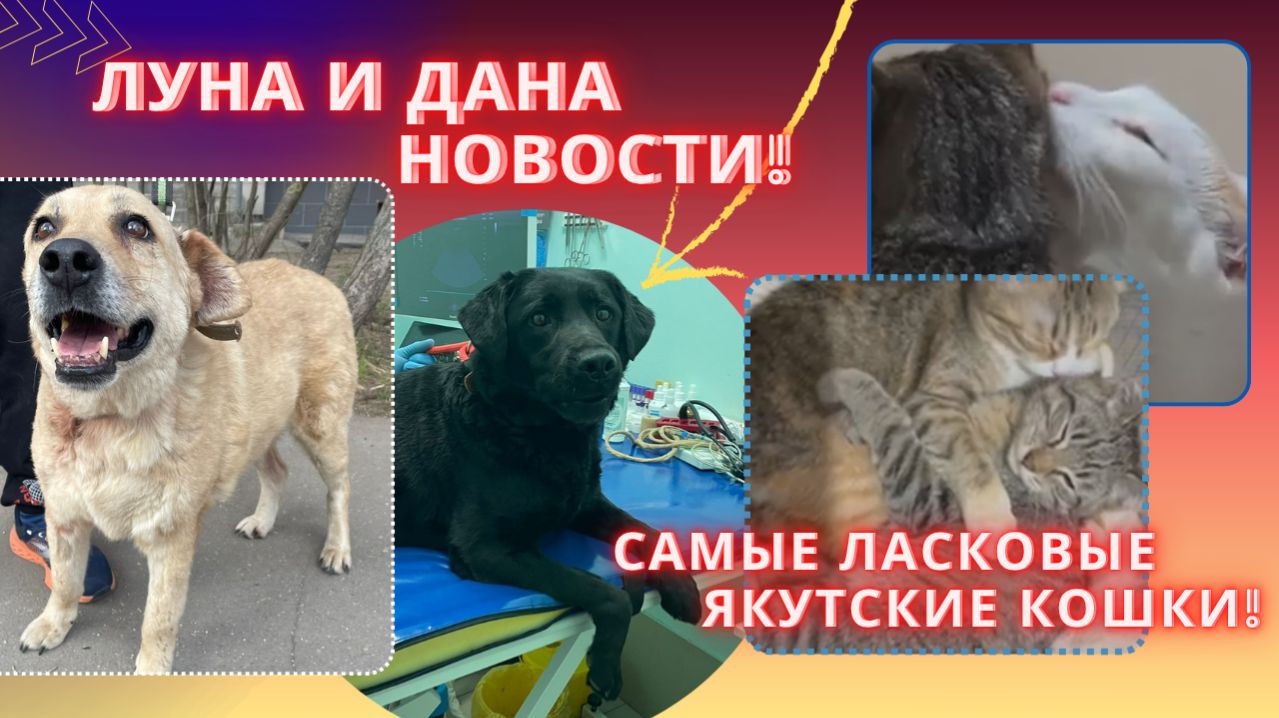 Если б мы прошли мимо, их не было б в живых!