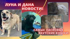 Если б мы прошли мимо, их не было б в живых!