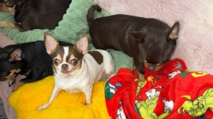 Доброго всем вечера и самой спокойной ночи.