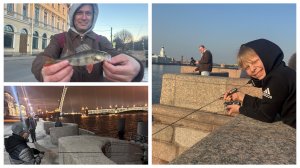 Петербургский вояж-2026: мормо и микро