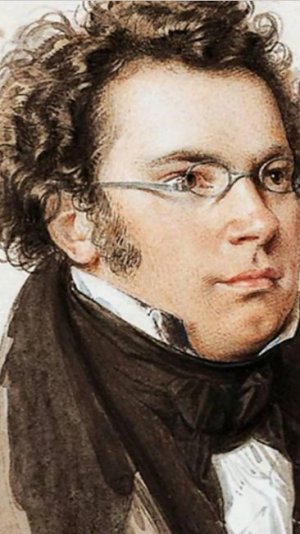 Ф.Шуберт Вечерняя серенада ...F. Schubert Evening Serenade...