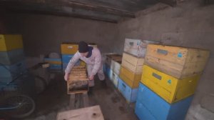 6 апреля 2026 года Сортировка рамок в омшанике. Пояснение.