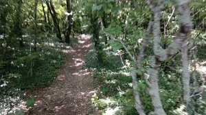 Красивые гряды гор вокруг видны в Архипо-Осиповке на Чёрном море