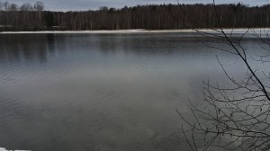 вечерний стрим