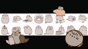 Pusheen💗🩰🐾