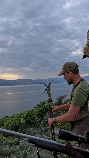 🍿 Выстрел на 300 метров из снайперской винтовки по барану #горнаяохота #охота #баран #oneshot