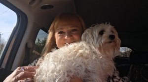 Едем в город по делам с Жужей!