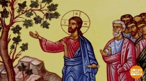 Страстная неделя. Каждый день - особенный! Доброе утро. Фрагмент выпуска от 06.04.2026