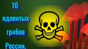 10 ядовитых грибов России.